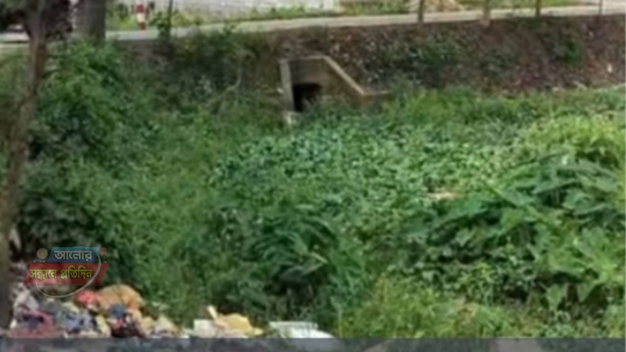 ওসমানী নগর উপজেলা স্বাস্থ্য কমপ্লেক্সের সামনে ময়লার ভাগাড় — চিকিৎসা নিতে এসে উল্টো স্বাস্থ্যঝুঁকিতে রোগী-স্বজন!