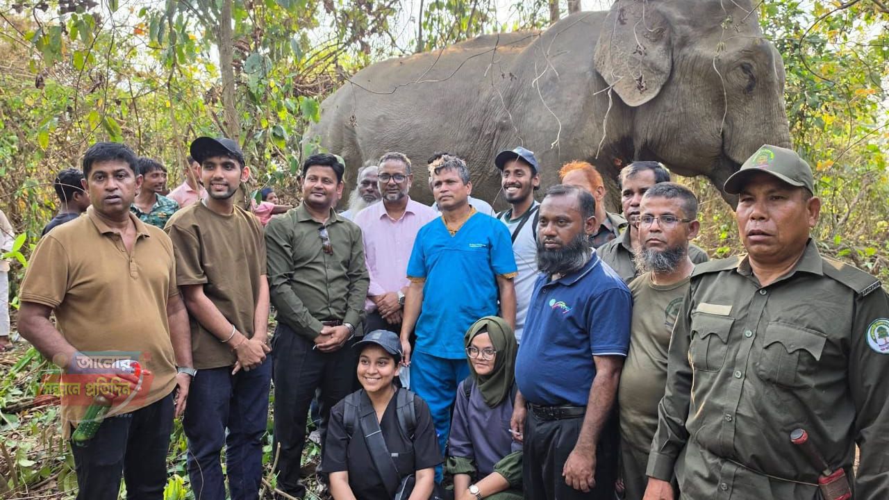 রাঙ্গামাটিতে অসুস্থ  বন্য হাতি উদ্ধার:চিকিৎসায় বন বিভাগ,,